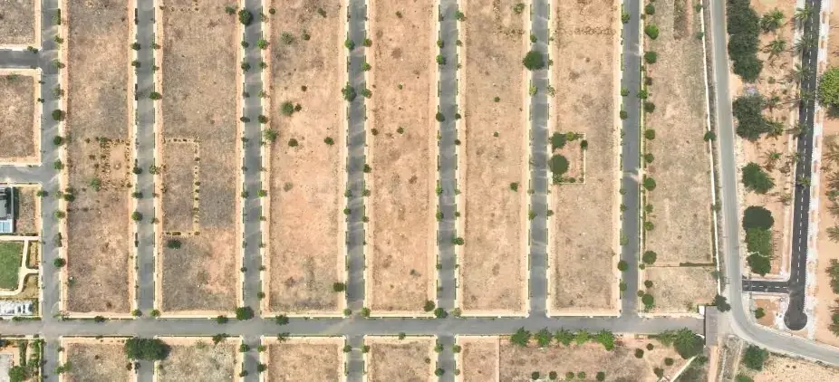 Chartered Gulmohar