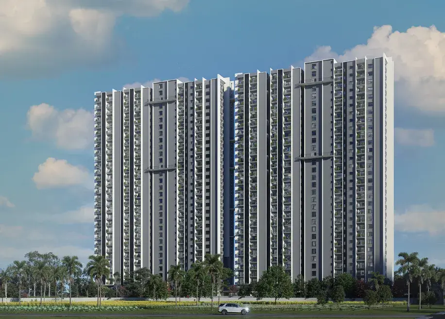 Amberstone Vectra photo 8