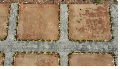 Ananya Global Garden photo 6
