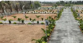Ananya Global Garden image 3
