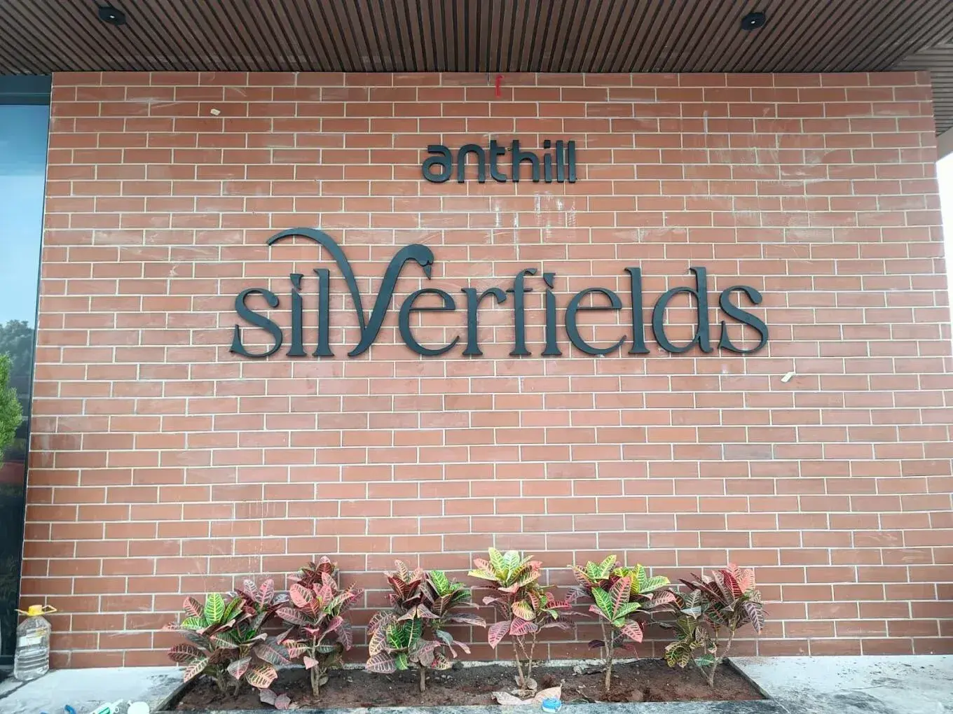 Anthill Silverfields