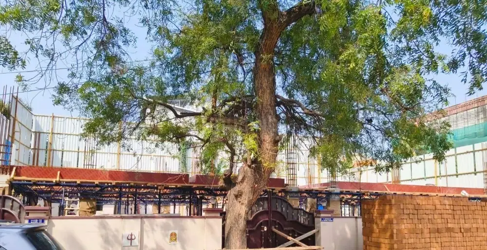 Auraa Sampoorna Dhaya