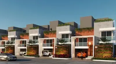 Best Green Ville