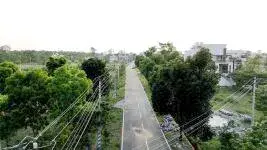 Bhima Ashvini Phase 2 photo 17