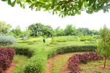 View all images