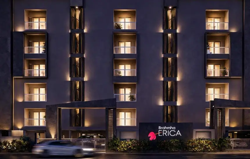 Brahmha Erica image 3