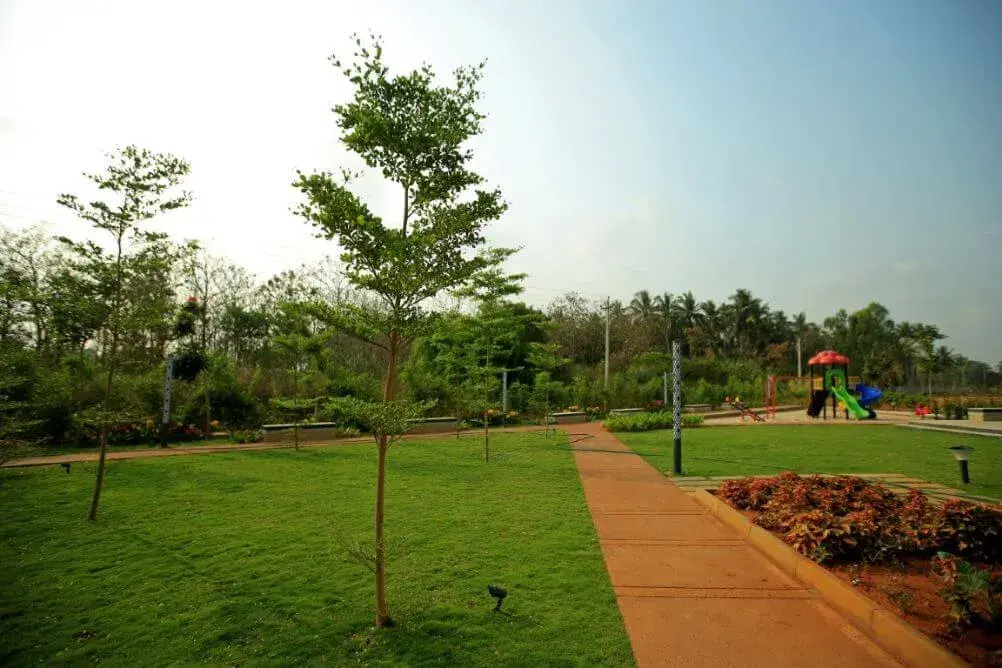 Century Eden Phase 5 photo 8