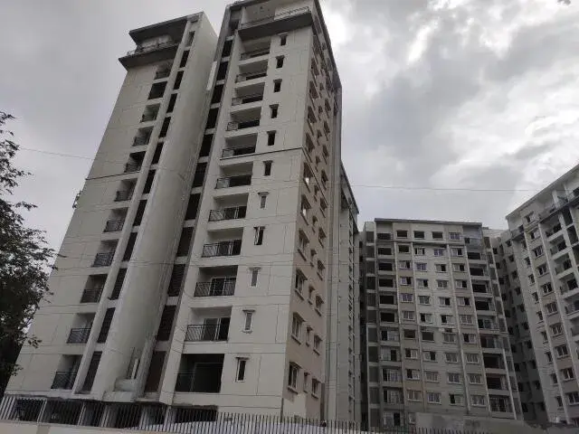 Century Novus