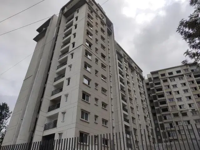 Century Novus