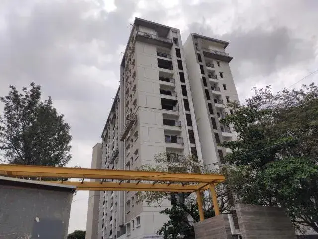 Century Novus
