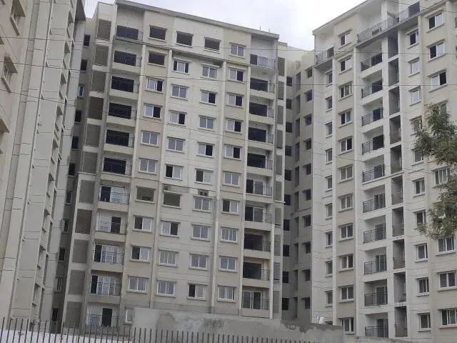 Century Novus