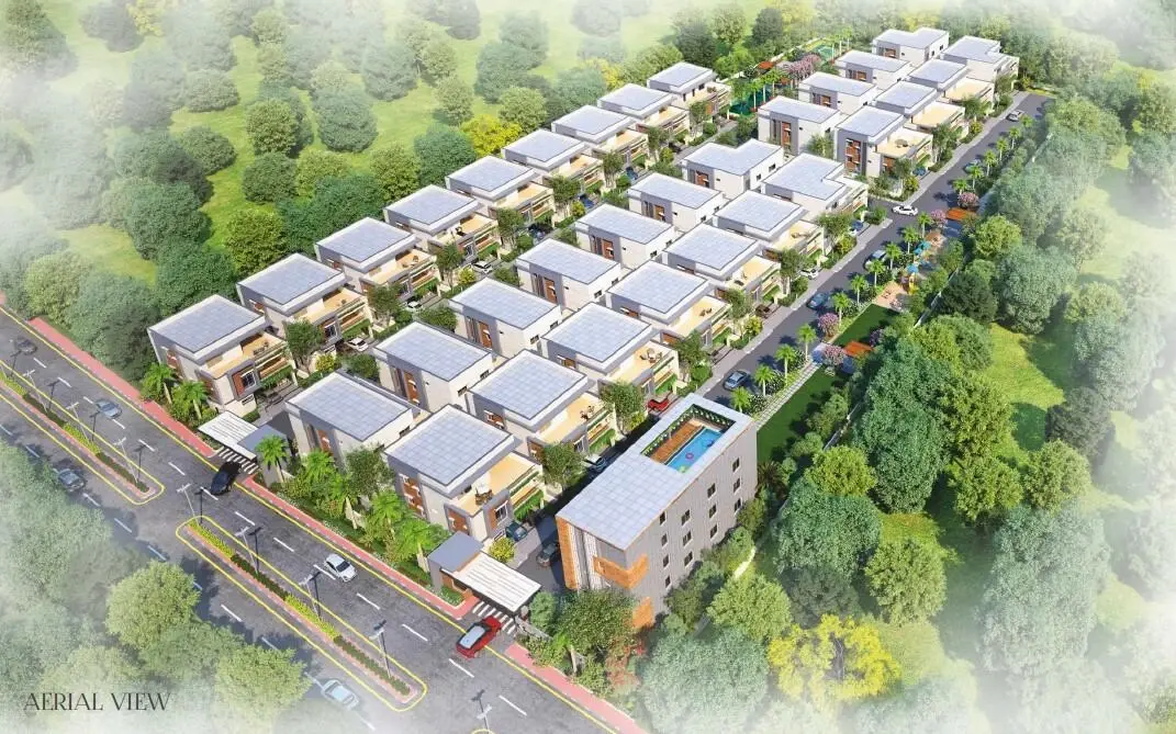 Chavala Hedgewoods