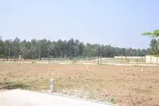 Ess and Ess Saha Elite Phase 2 photo 11