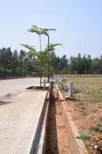 Ess and Ess Saha Elite Phase 2 image 3