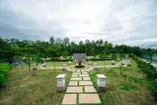 View all images