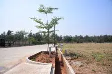 Ess and Ess Saha Elite Phase 2 photo 12
