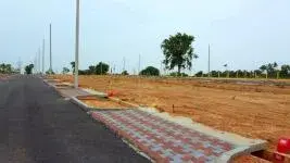 View all images