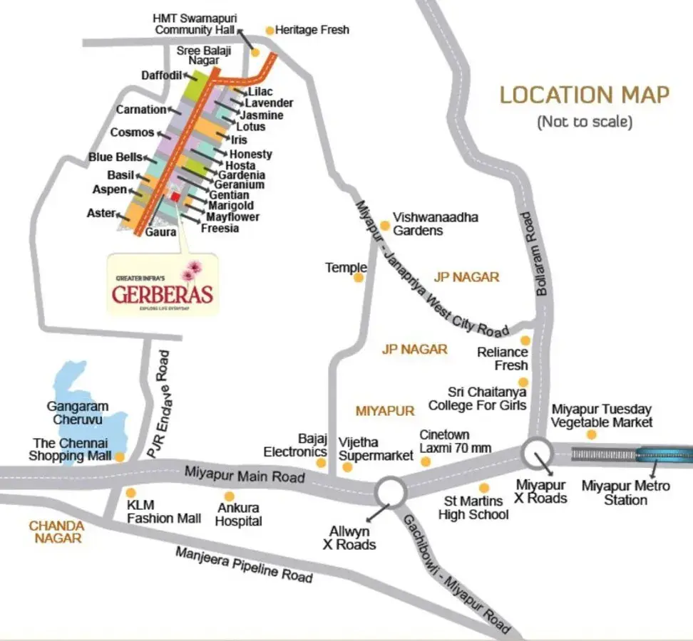 Greater Infra Gerberas image 4