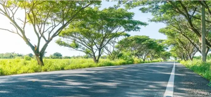 Greenmetro Haritha Retreat Phase 2