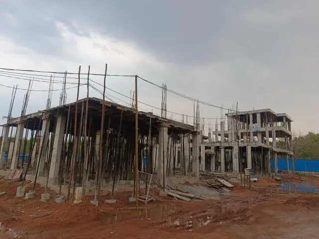 Grupe Elara