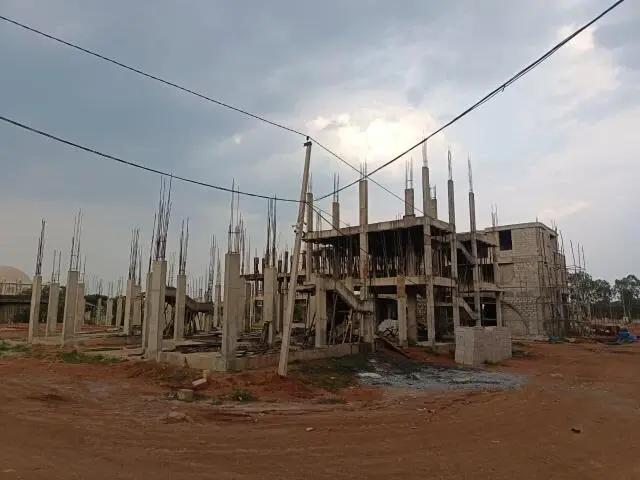 Grupe Elara