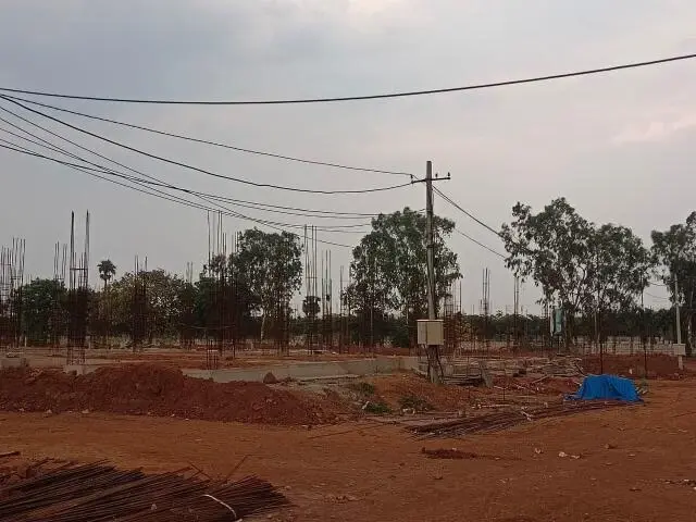 Grupe Elara