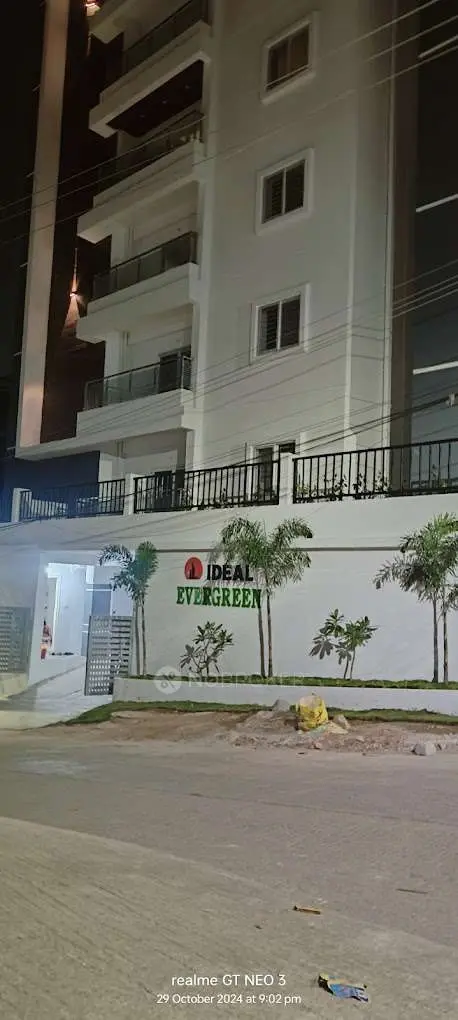 Ideal Ever Green