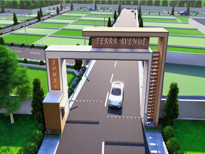 Jones Terra Avenue