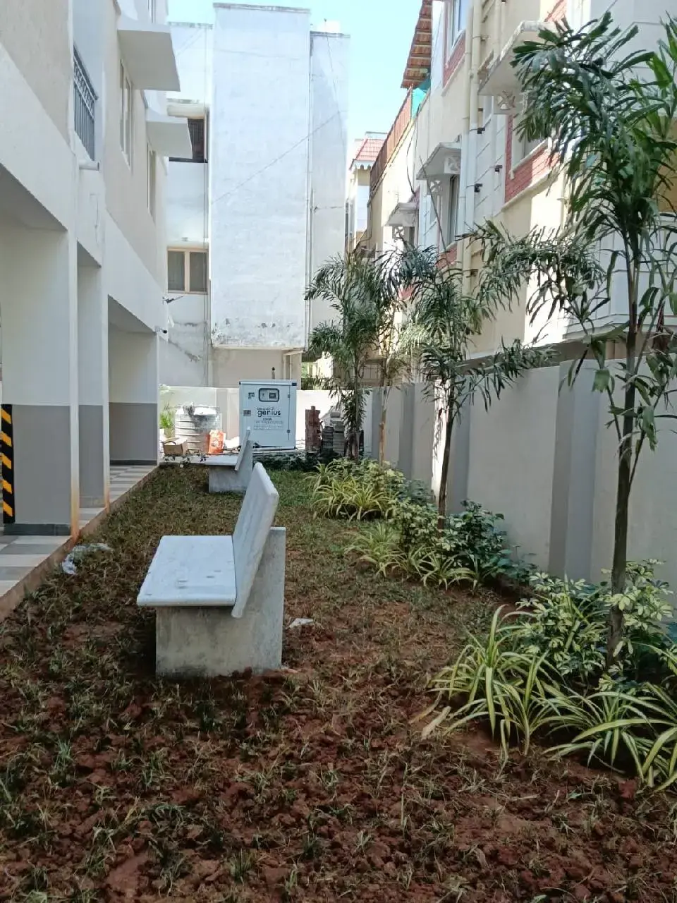 Khurinji Acanthus image 2