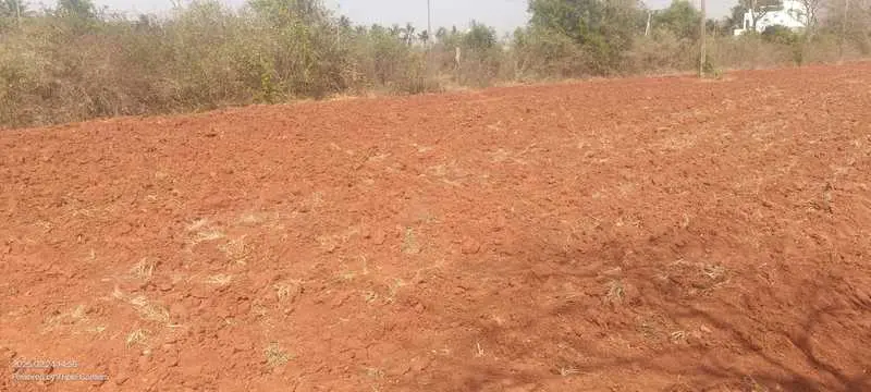 KNS Mudra image 3
