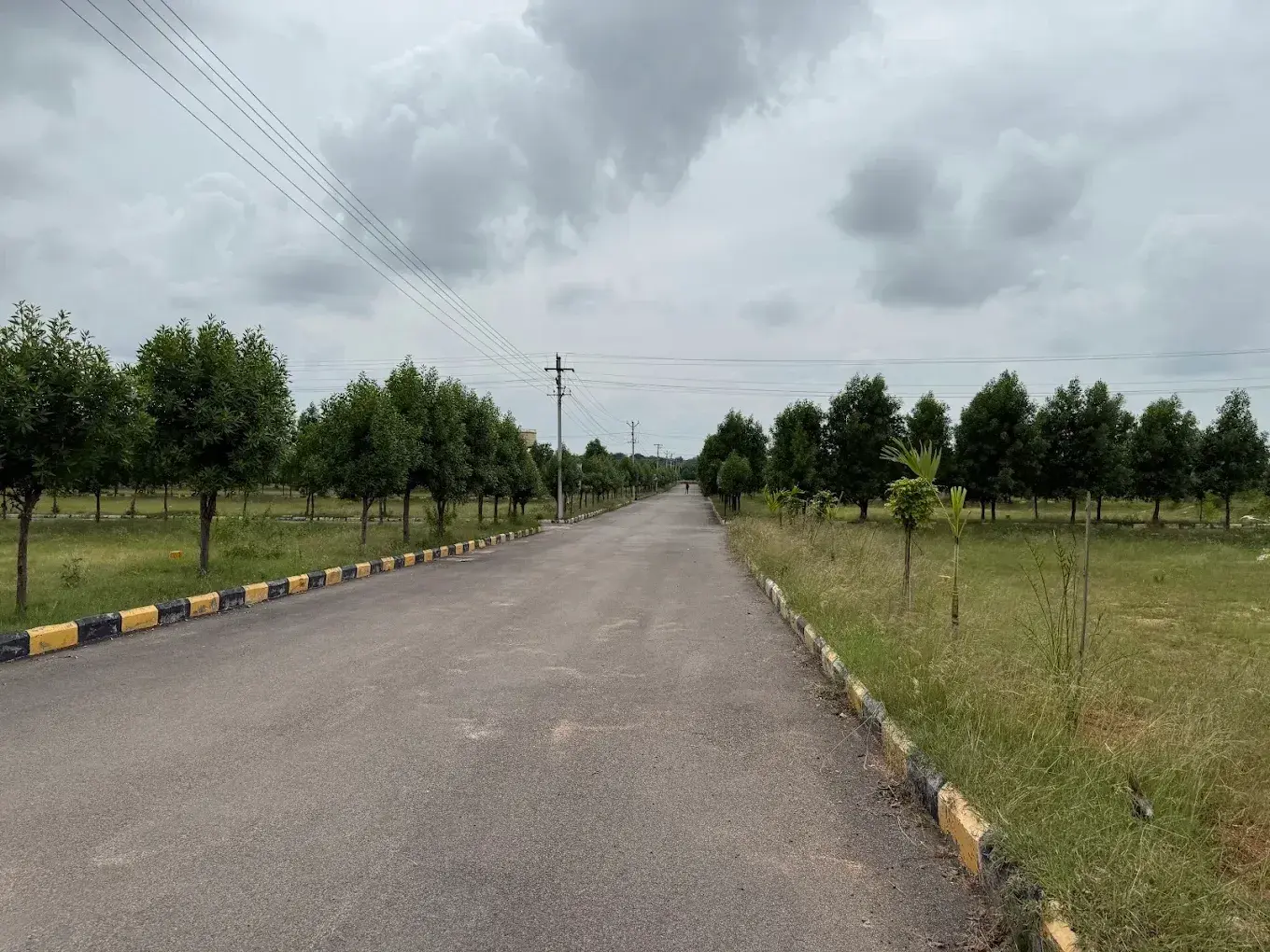 Lighthouse Pharma Green City