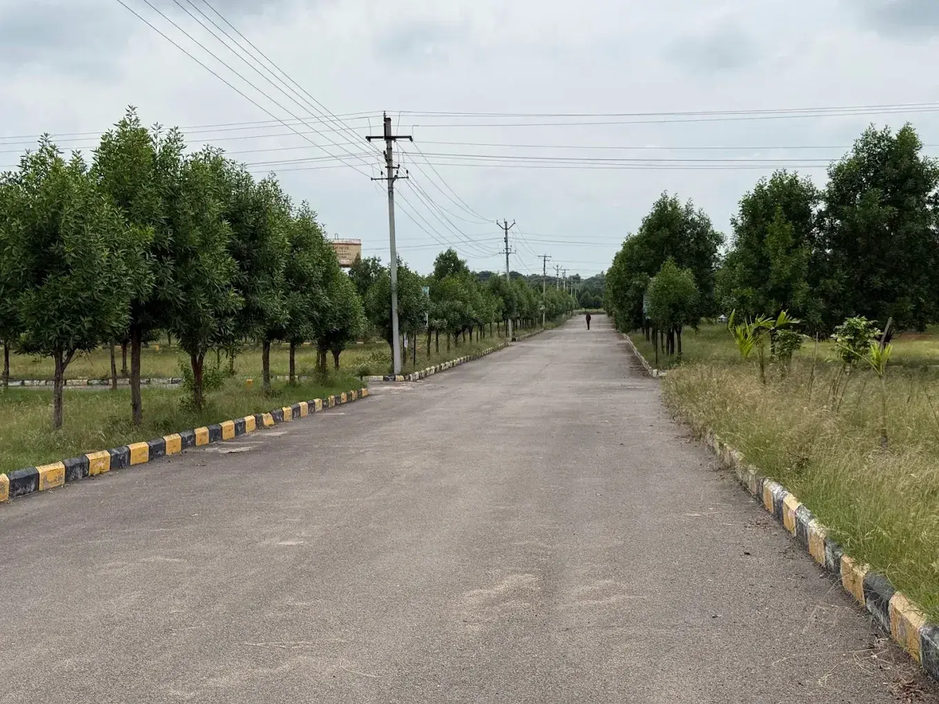 Lighthouse Pharma Green City