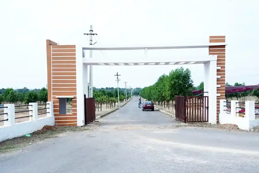 Lighthouse Pharma Green City