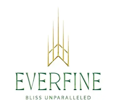 Developer Logo