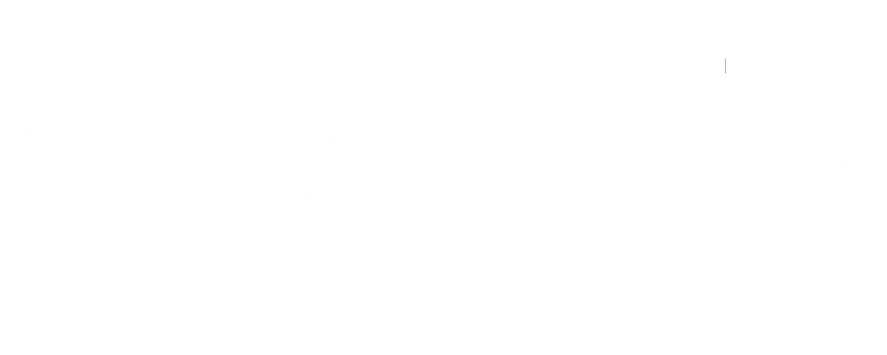 Developer Logo