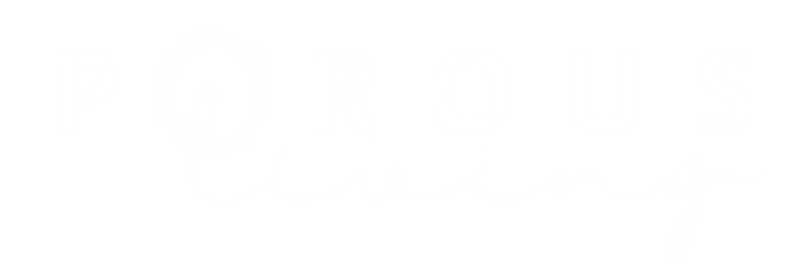 Developer Logo