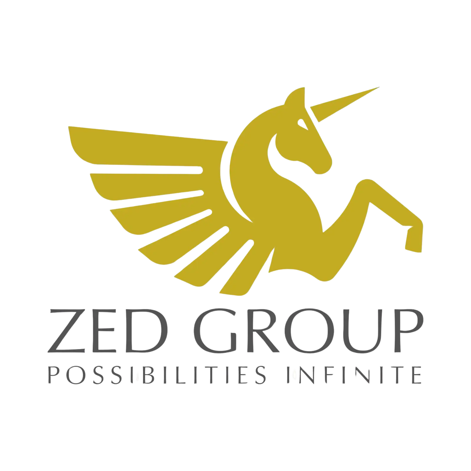 Zed Group