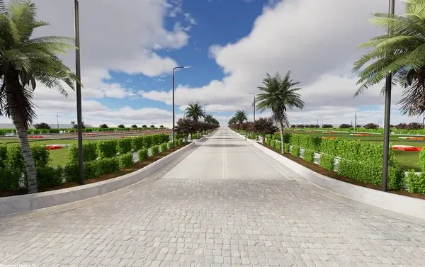 Mango Groves