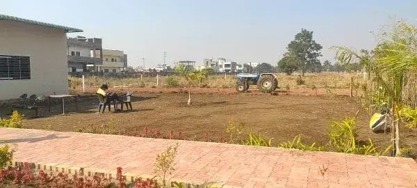 Mango Groves