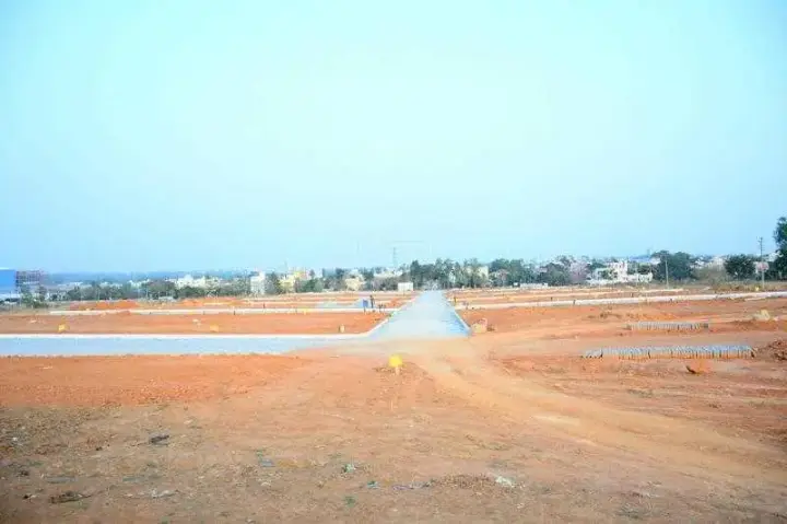 Milana Harappa Greenwoods 5