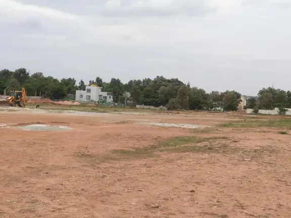 Nava Vruksha