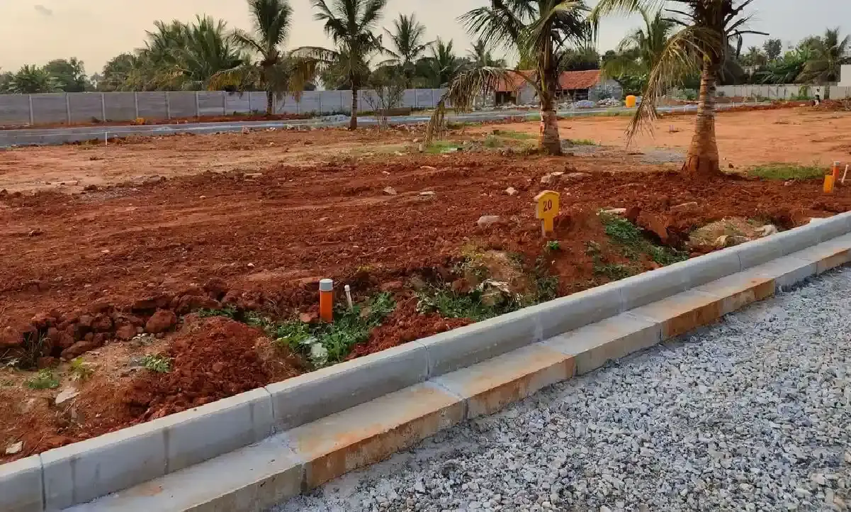 Pionier Central Avenue Phase 2