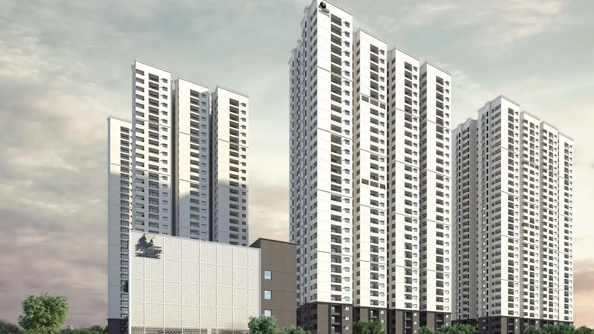Prestige Tranquil photo 7