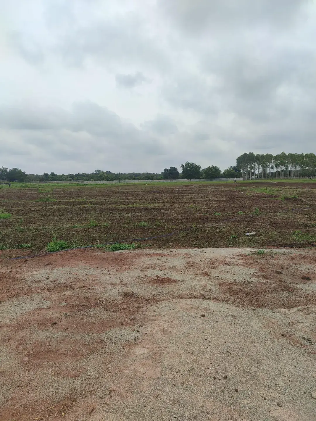 Rajabhoomi Aananda