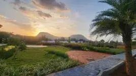 Rare Earth Montira photo 7