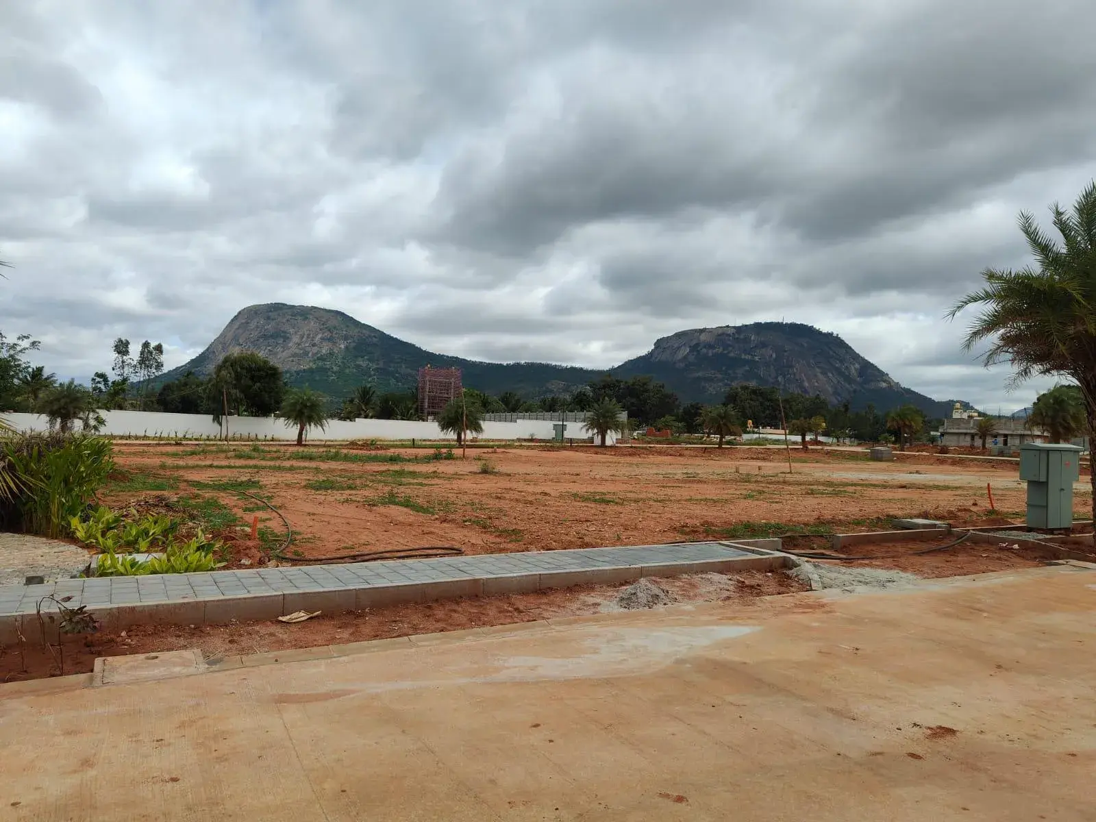 Rare Earth Montira - Photo 6