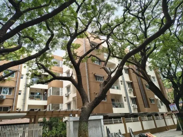 Sanna Reddy Shreyas