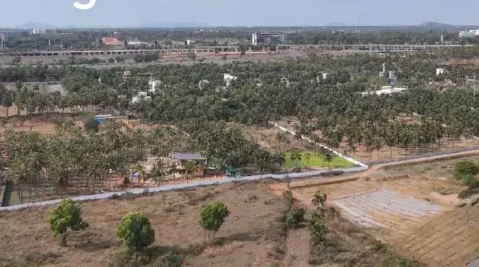 Siddhatva Nexfield