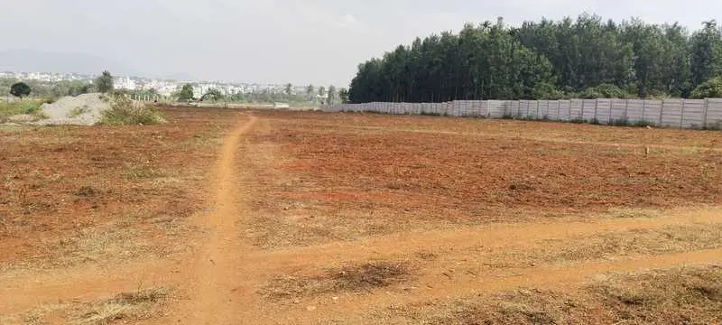 SP Meadows