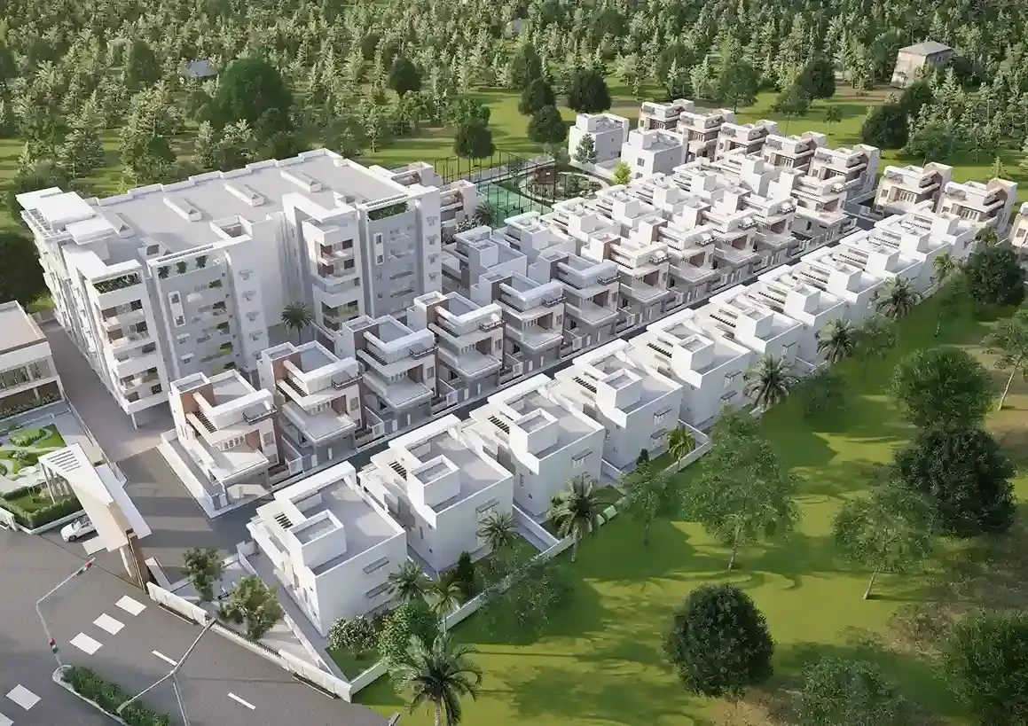 Sree Daksha's Nefeli